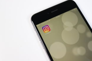 欧逸APP苹果下载攻略，如何获取正规安全下载链接