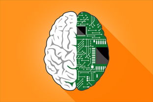 鸥亿身份认证，筑牢数字场景的身份信任防线