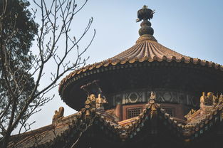 五台山纪念币最新行情盘点，文化遗产币中的潜力股现在值多少？