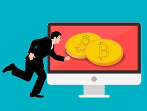 鸥亿双币赢怎么玩？新手入门规则与操作技巧全解析