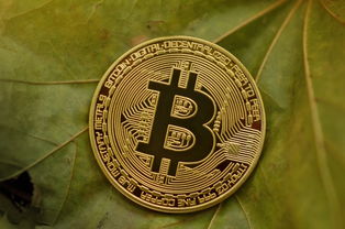 第四大虚拟货币稀缺币，是价值共识还是炒作泡沫？