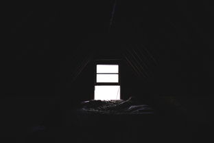 栽进欧逸虚拟币骗局，我亏光几万积蓄才幡然醒悟