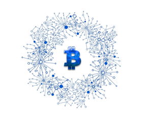 比特币冷钱包app下载，守护你的数字资产安全，远离网络攻击