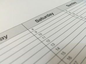 2024人民币2连体最新价格行情，品种报价与市场走势解读