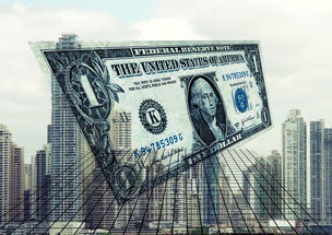 四号纪念币当前行情怎么样？现状与后市走势一文理清