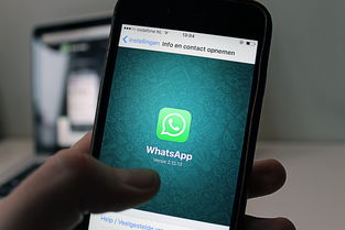 从欧逸Web3 APP下载聊聊，区块链开发到底是什么