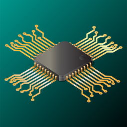 破局与重构，解决押品与业务欧艺币种入口不一致的痛点