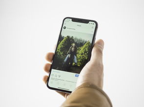 马斯克看好Web3移动端时代，欧逸APP如何成为手机用户入口新选择