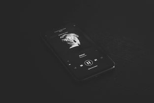 OKX 意欧苹果下载全攻略，iOS 手机钱包安装步骤详解