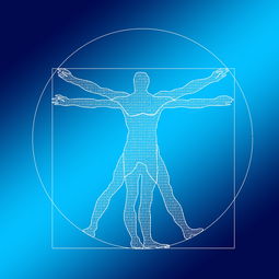 瑞资链APP，数字化时代的资产流转引擎，赋能实体经济