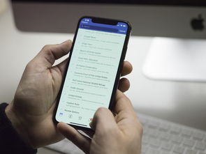 e欧钱包操作流程图解