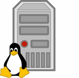 Linux服务器闲置利用,可挖的OYI币种入门全解析 Linux服务器闲置利用,可挖的OYI币种入门全解析