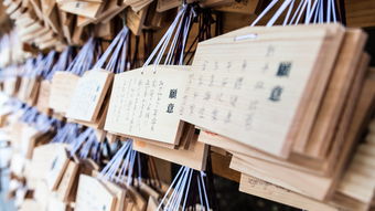 关于石神与OYI币种，澄清与风险提示