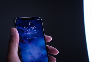 iPhone炒币首选，比特儿App苹果版下载与全方位使用指南