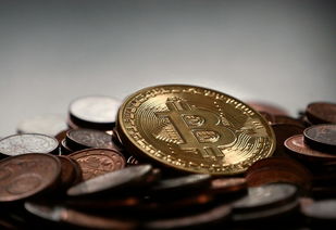 穿越周期，深度复盘比特币十年行情走势图，探寻数字黄金的进阶之路
