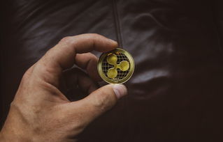 虚拟货币大跌，稳定币真的会涨吗？别搞错了它的真正用途
