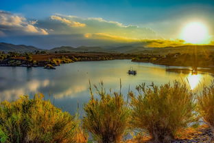 圆币草怎么种水族箱？保姆级种植指南，轻松养出爆缸美景