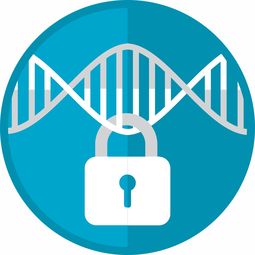 欧义入口钱包安全度高吗？深度解析其安全机制与潜在风险