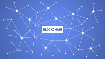 欧义数字货币钱包入口详解，官方下载渠道与安全使用指南