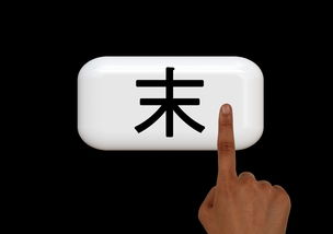 欧亿钱包私钥，数字资产的终极钥匙，安全守护指南