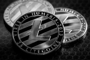 深度解析，种币质量到底是什么意思？别让垃圾币毁了你的钱包