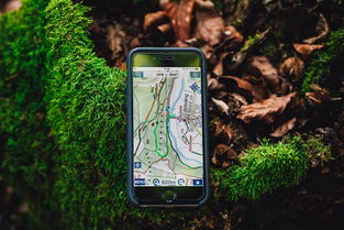 oyi官网入口钱包教程图片高清详细指南