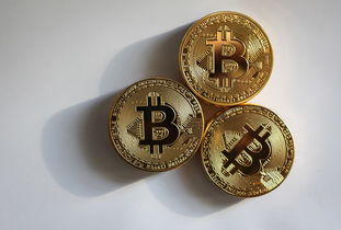 币圈淘金，揭秘2024年最值得收藏的三种币