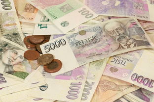 2024年菲尔币（Filecoin）市场行情分析，分布式存储赛道的价值博弈
