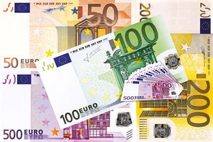 九龙币价格表最新行情，2024年市场走势与收藏价值解析