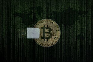 上面只鸟的是什么欧艺币种入口？解析其背后的数字货币项目与参与路径