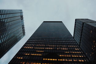 欧义交易所所属国家及背景解析