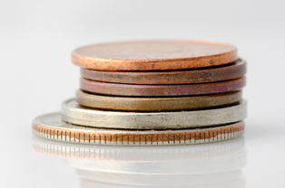 2024植树节纪念币行情最新解析，市场表现、价值研判与投资提示