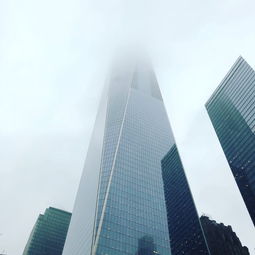 关于鸥意交易所背景图片的问题解析与安全提示