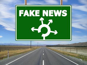 鸥意交易所官网公告查询指南，掌握官方信息渠道，远离虚假平台陷阱