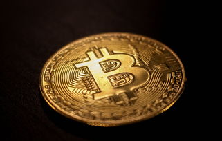首先需要明确的是，虚拟货币在中国不受法律保护，任何虚拟货币的交易活动都存在极大的风险，且可能涉嫌违法违规。因此，我不能为你提供关于oyi币种如何买跌买涨的相关内容