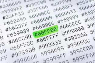 艺欧web3钱包安全吗 全面解析安全风险与防护技巧