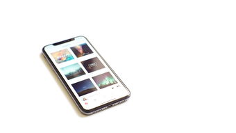 鸥意App苹果下载安装全攻略，iOS用户详细教程