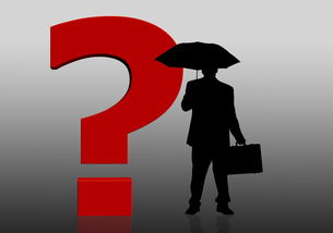 全oyi币种是否包含瑞典克朗？疑问澄清与解答