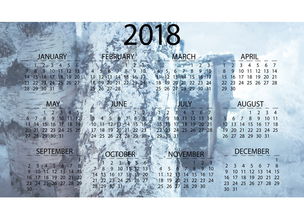 纸钞里的时光与财富，2024年老式人民币收藏市场行情全解析